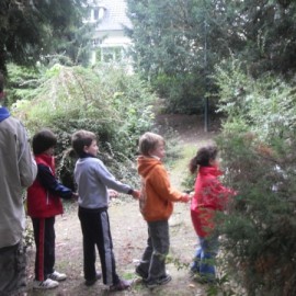10 Park Adventure Day